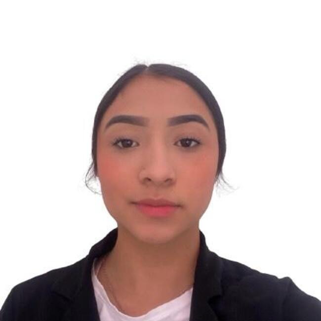 Babysitter στην περιοχή Manizales: Karen camacho