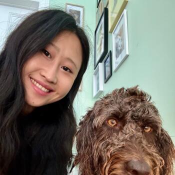 Babysitter Wellington: Joanne