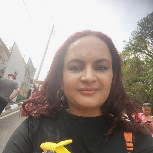 Babysitting job in Santana de Parnaíba: Fatima