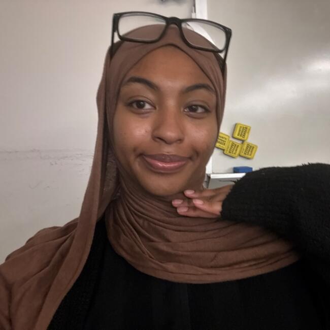 Babysitter in Reston: Sarah