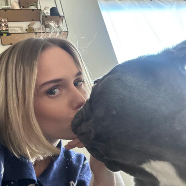 Babysitjob in Hove: Demi