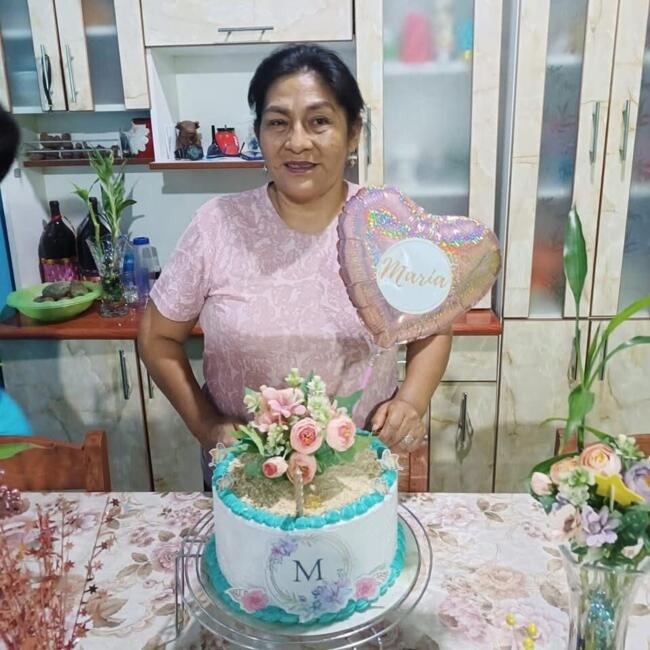 Babysitter in San Juan de Lurigancho: Maria rosario moscoso saravia
