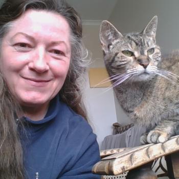 Babysitter Launceston: Birgit