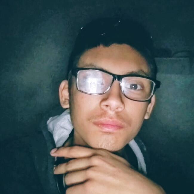 Babysitter in Converse (Texas): Alexander