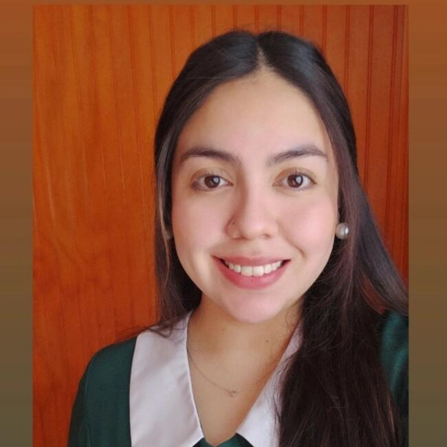 Babysitter in Valdivia: María José