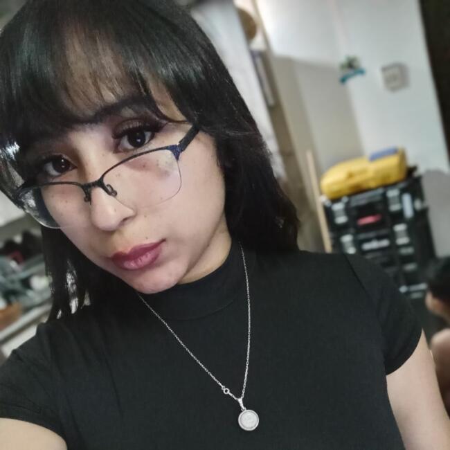 Babysitting job in Santiago: Kathia