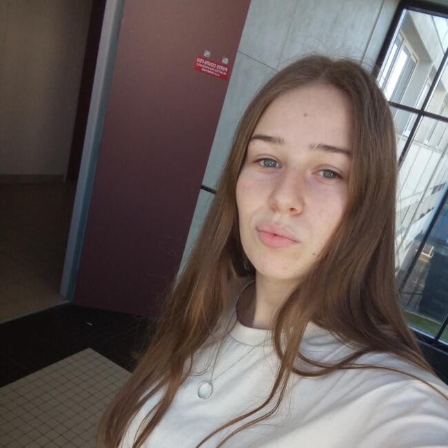 Babysitter in Quimper: Sarah