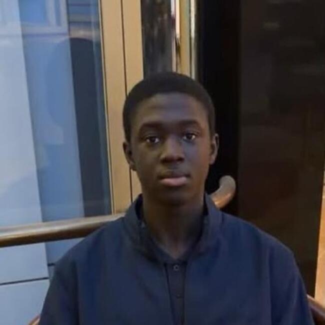Babysitter in Pontoise: Mouhamadou LAmine