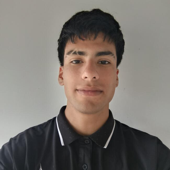 Babysitter in Barinas: Nick Jeraldo