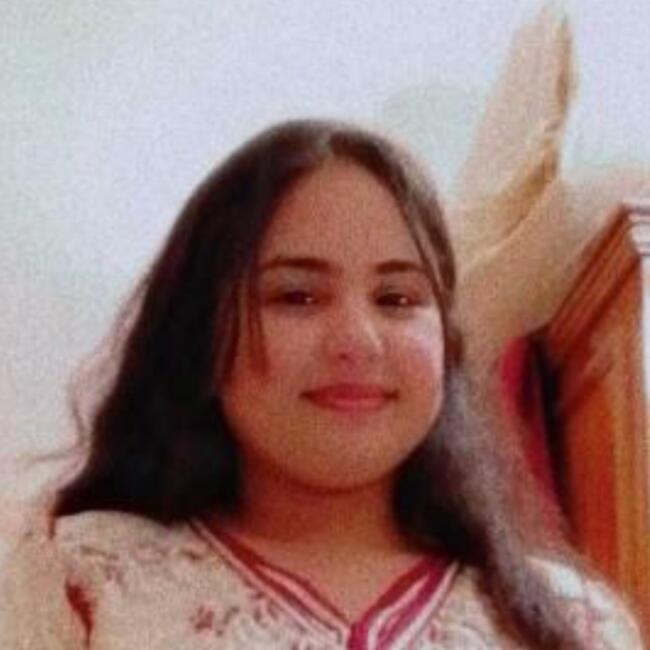 Babysitter in Montgeron: MERIAME