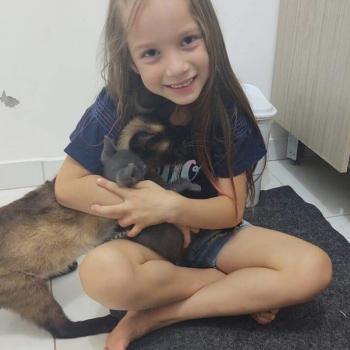 Emprego de babá em São Leopoldo: emprego de babá MARIELI