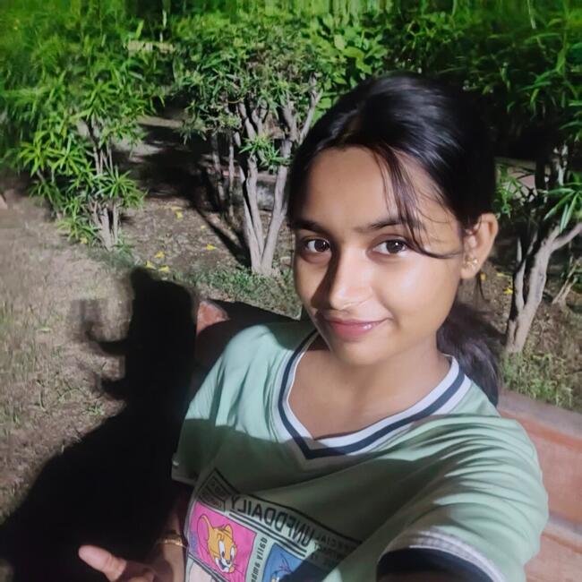 Babysitter in Greater Noida: Neetu