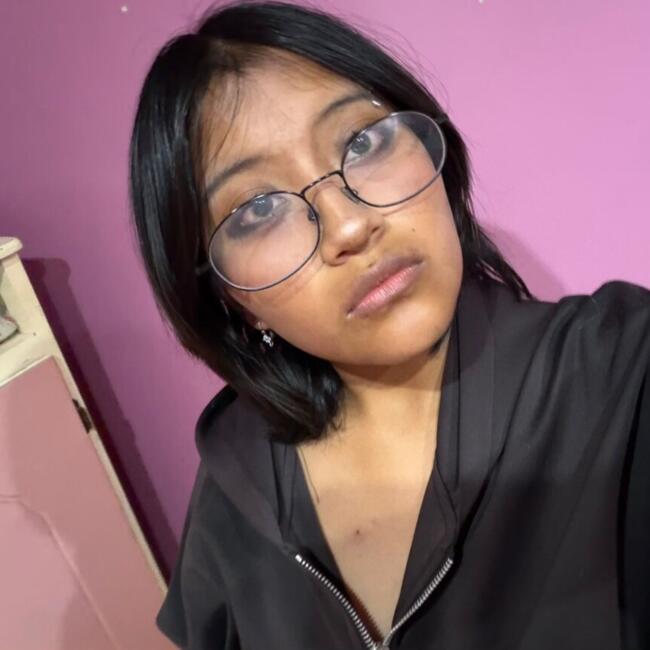 Babysitter in Ambato: Antonella