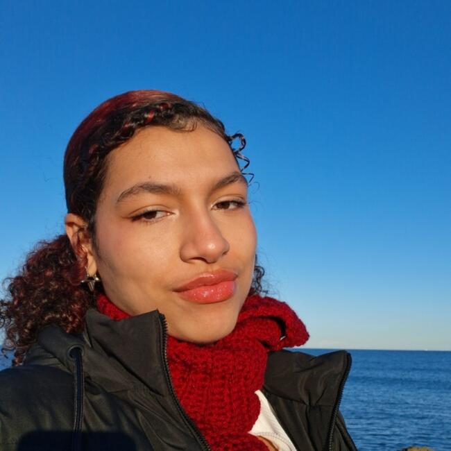Babysitter em Viseu: Ana Luiza