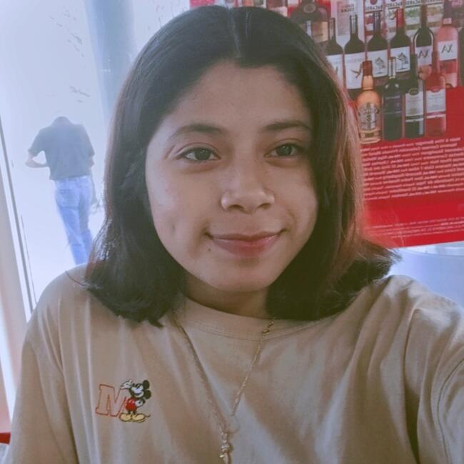 Babysitter in Monterrey: Zulema