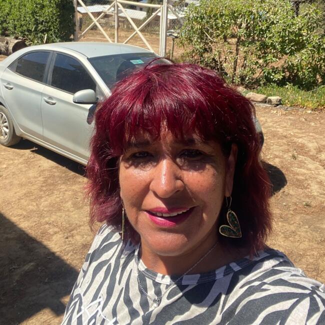 Niñera en Santiago de Chile: Fabiola