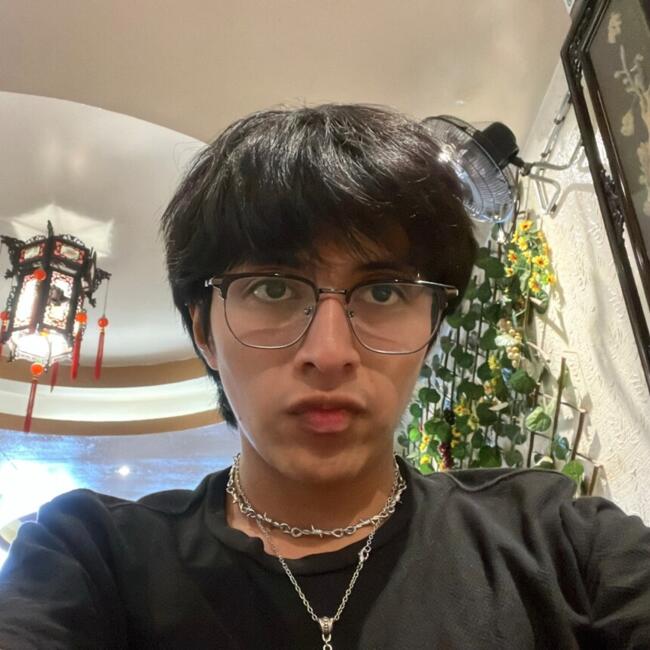 Babysitter in Apodaca: Luis Fernando