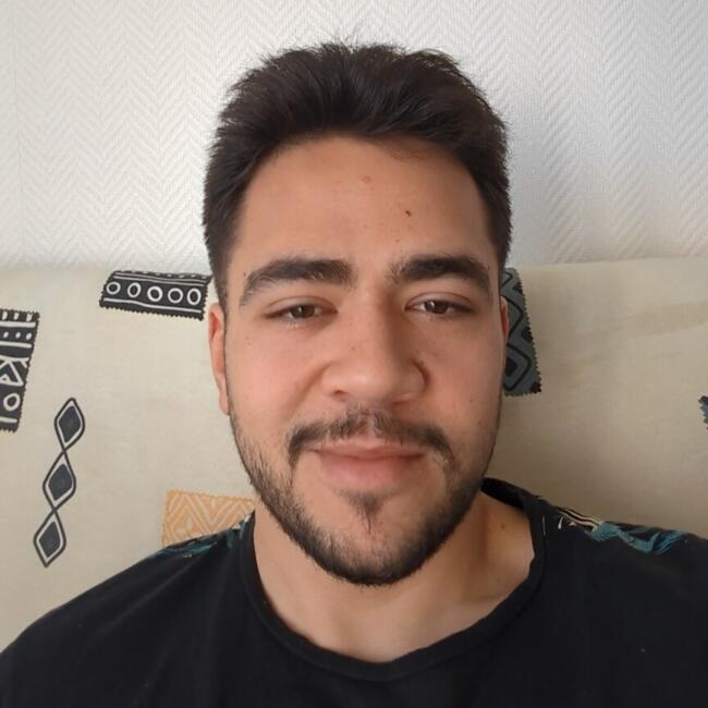 Babysitter in Nantes: Karim