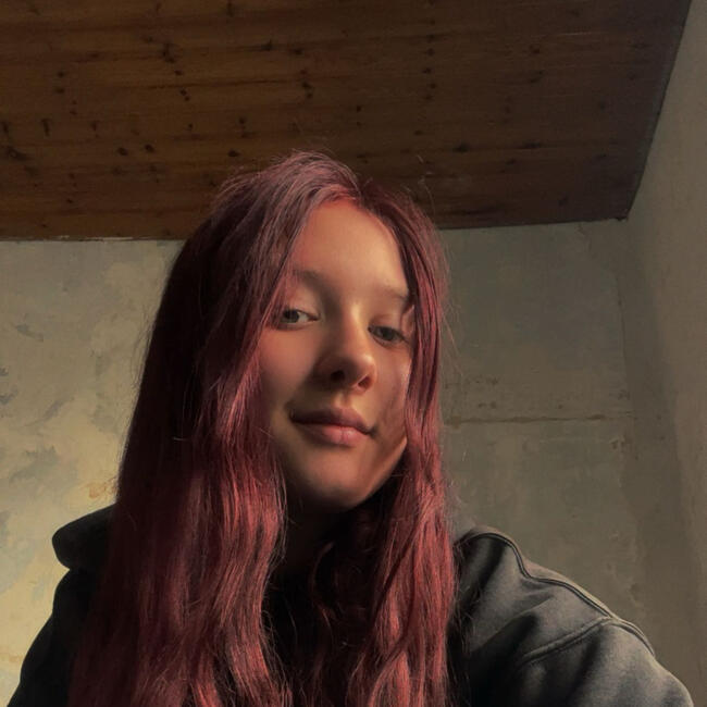 Babysitter in Tournai: Ciara