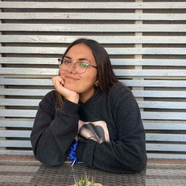 Babysitter in Talca: Katalina