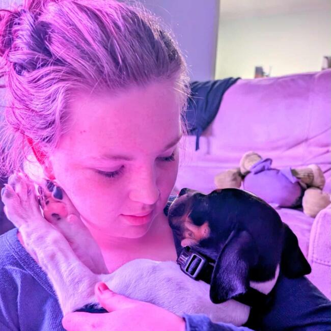 Babysitter in Gympie: Taelha