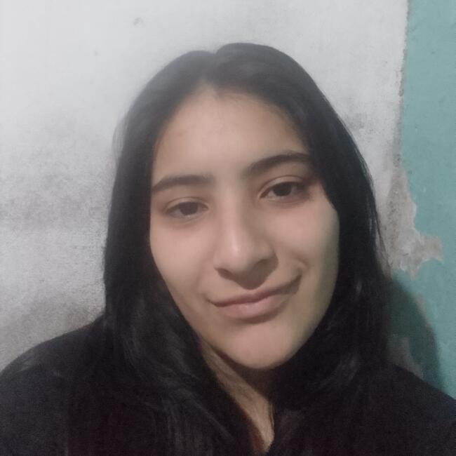 Babysitter in Mar del Plata: Melany