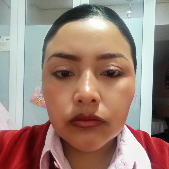 Niñera en Ciudad de México: Nallely