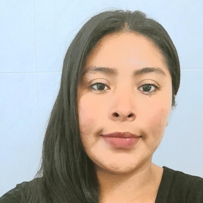 Babysitter in Santiago: Digna