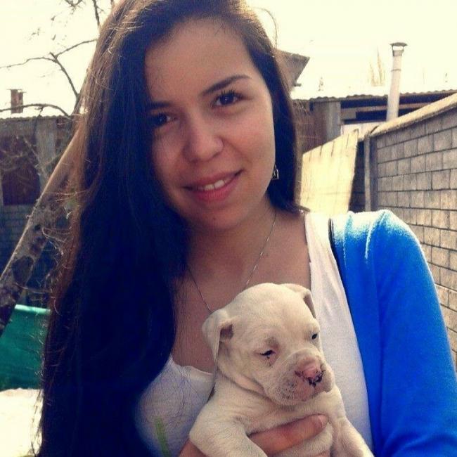 Babysitter in Chillán: Mitzy