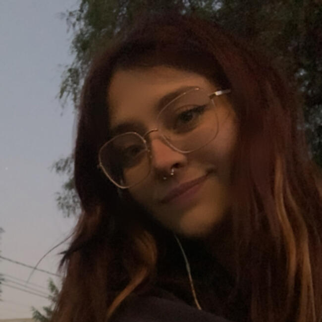 Babysitter in Coquimbo: Alejandra Jara