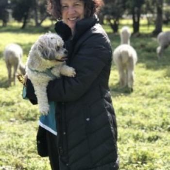 Babysitter Perth: Shelley