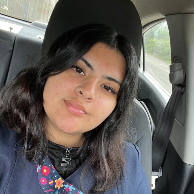 Babysitter in Villarrica: Ana Belén