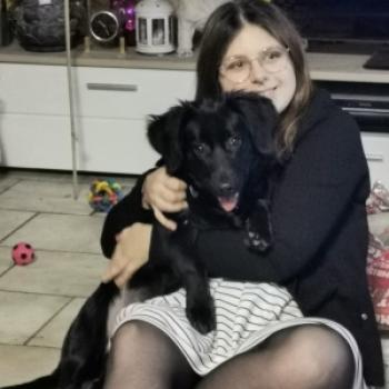 Babysitter in Herne: Lara