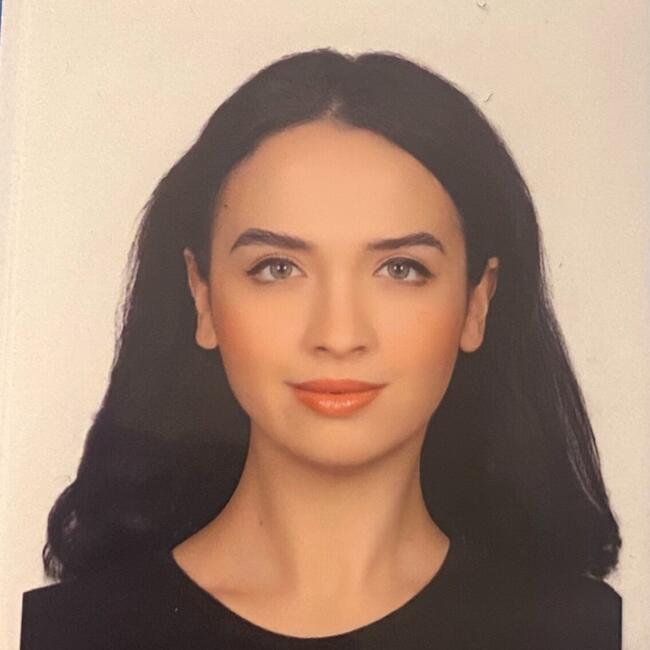 İstanbul bölgesinde bebek bakıcılığı işi: Cansu