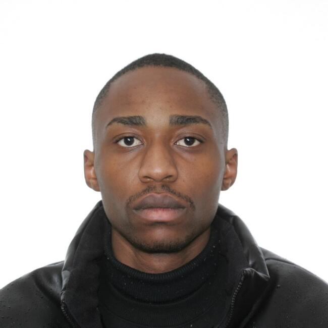 Babysitter in Wroclaw: Masimba Joseph keverere