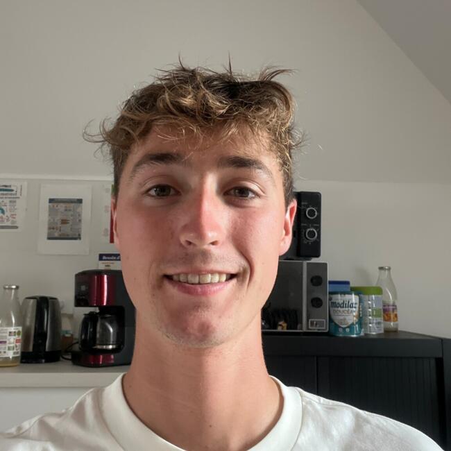 Babysitter in Quimper: Baptiste