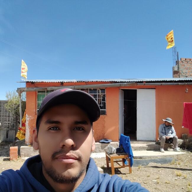 Babysitting job in Ollachea: Malu