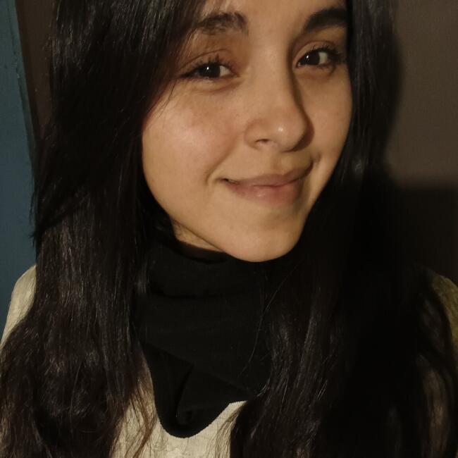 Babysitter in Temuco: Evelyn