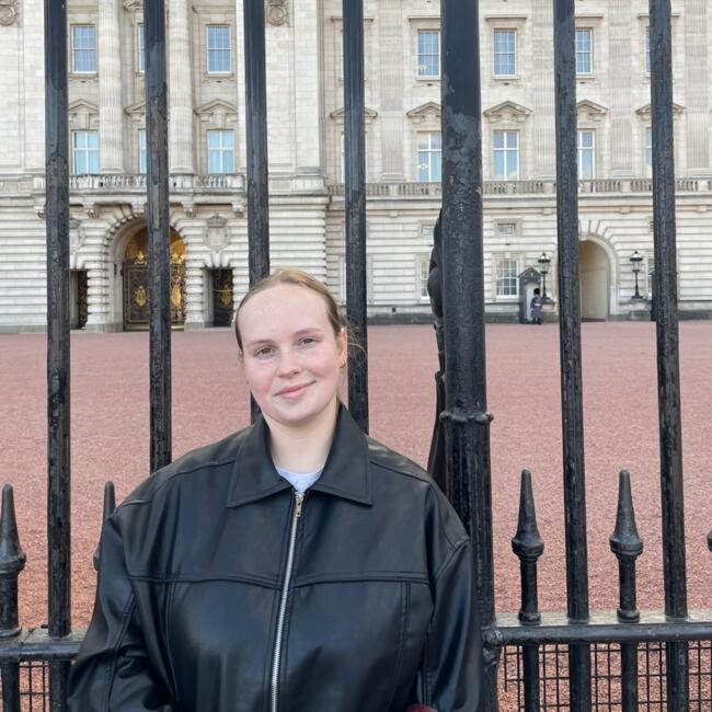 Babysitter in Adelaide: Emily