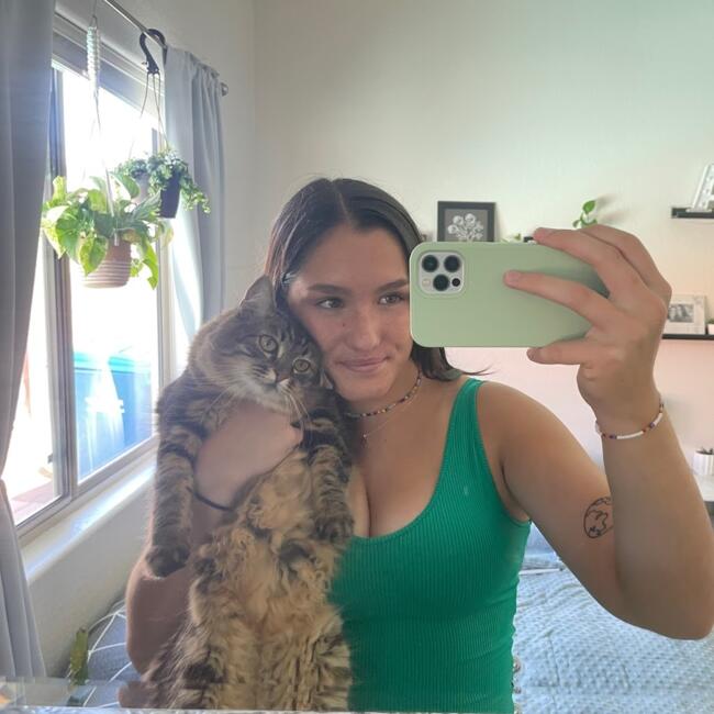 Babysitter in Tempe: Ali