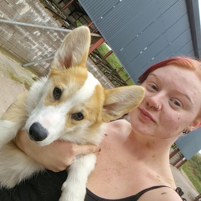 Babysitter in Comins Coch: Emily