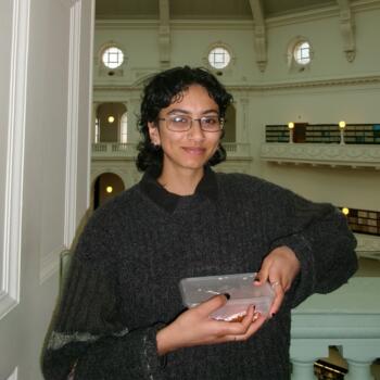 Babysitter in Auckland: Joanne