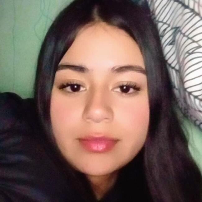 Babysitter in Valparaíso: Erenley