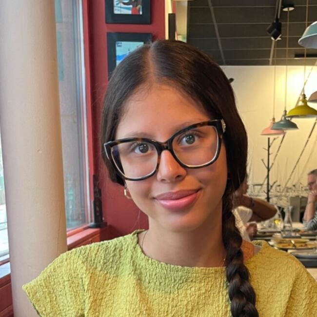 Babysitter in Tournefeuille: Wissal