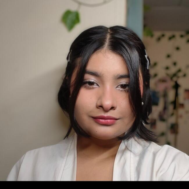 Babysitter in Heredia: Maricruz