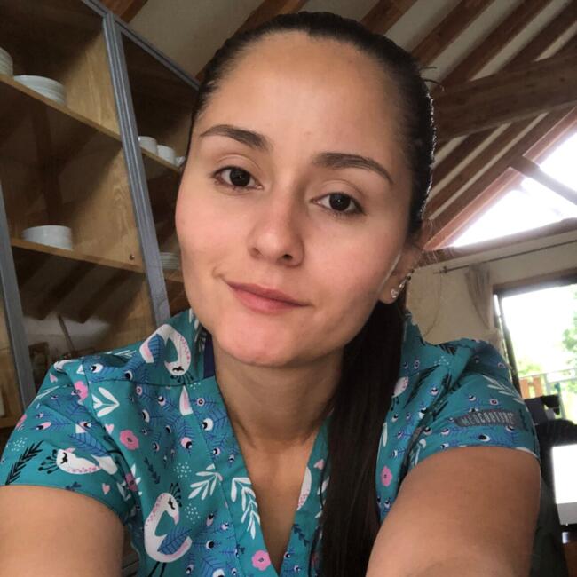 Babysitter in Santiago: Lisneth