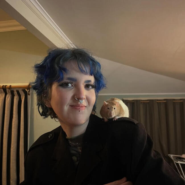 Babysitter in Wellington: Xanthe