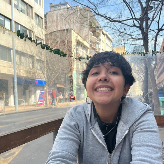 Babysitter in Santiago: Sofia