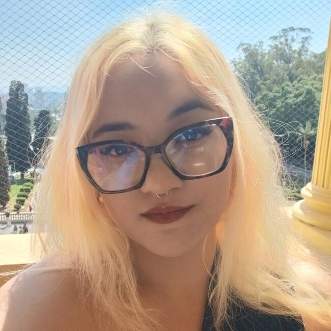 Babysitting job in São Paulo (São Paulo): Vanessa