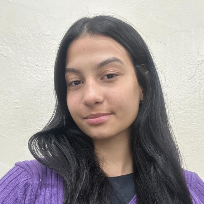 Babysitter in São Paulo: Ana Paula